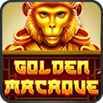 Golden Macaque